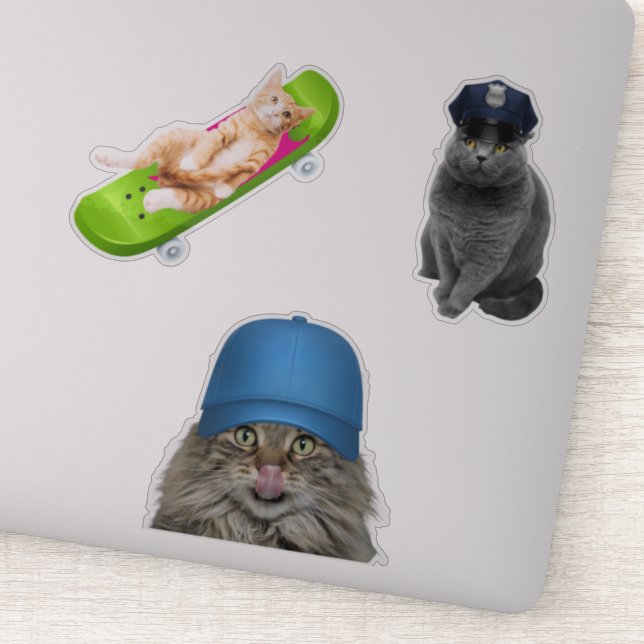 Adesivo Cat no skate (Detalhe)