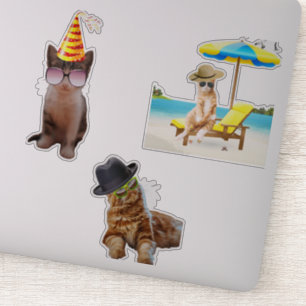 Adesivo Cat On Beach