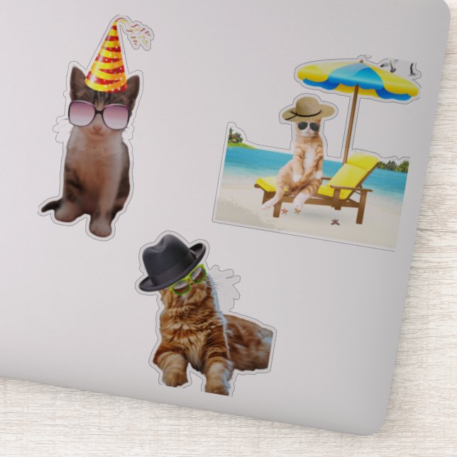 Adesivo Cat On Beach (Detalhe)