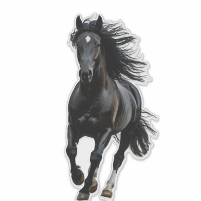 Adesivo Cavalo preto (Frente)