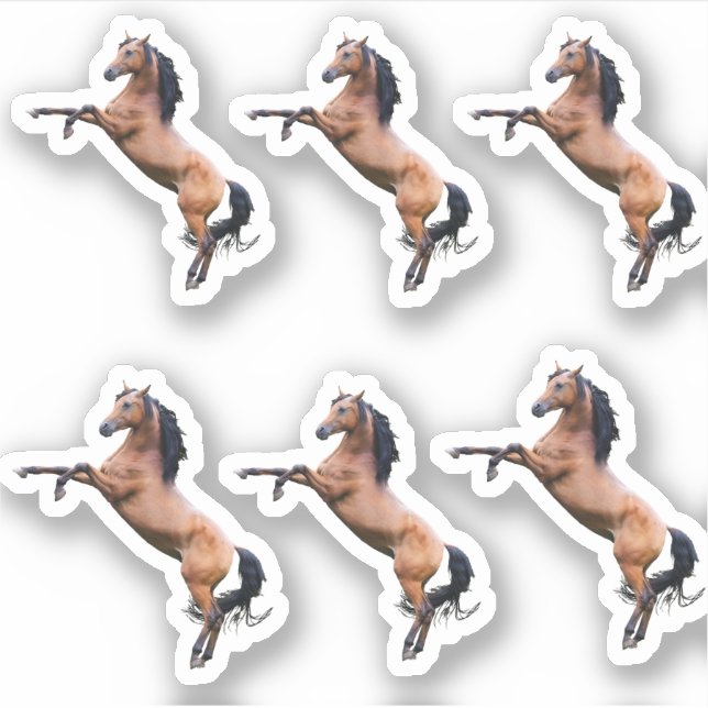 Adesivo Cavalos (Frente)
