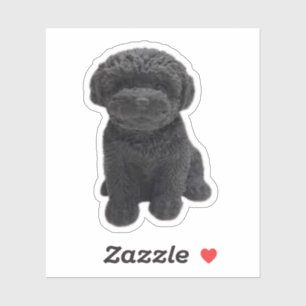 Adesivo Cavapoo Cavoodle Cockerpoo Cãozinho preto