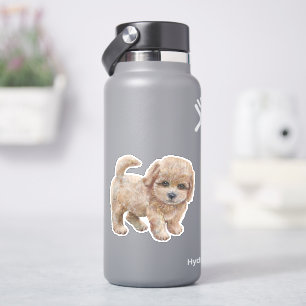 Adesivo Cavapoo Puppy Cartoon Dog Sticker