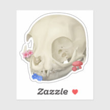 Caveira De Gato Com Flora