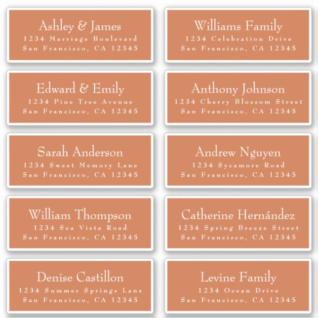 Adesivo Chic Burnt Orange Wedding Guest Address Labels (Frente)
