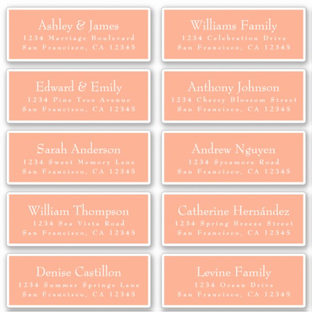 Adesivo Chic Cantaloupe Orange Guest Labels (Frente)