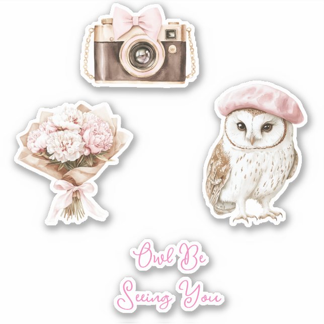 Adesivo Chic Pink Beret Brown White Owl Be Seeing You (Frente)
