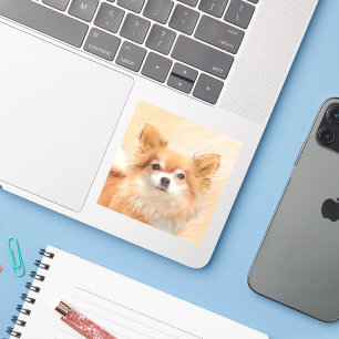 Adesivo Chihuahua Pintura De Cachorro De Cabelo Longo
