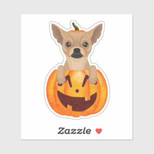 Adesivo Chihuahua Pumpkin Sticker