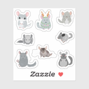 Adesivo Chinchilla Stickers