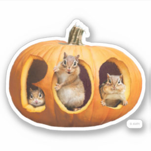 Adesivo Chipmunks Dentro Boo Jack-o-Lanterna
