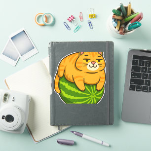 Adesivo Chubby Cat na Camisa Memória de Melancia