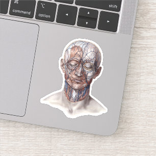 Adesivo Ciência humana da anatomia do vintage, nariz