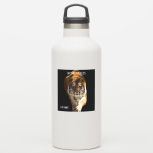 Adesivo Cincinnati Tiger -