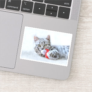 Adesivo Cinzas bonitas por gato com Natal Natal