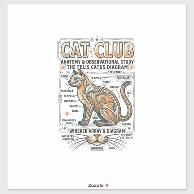 Adesivo Clube de Gatos Anatomia de Gato Diagrama Científic (Folha)