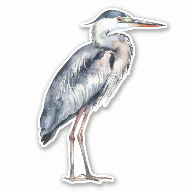 Adesivo Coastal Blue Heron Bird (Frente)