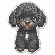Cockapoo Preto