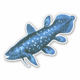 Adesivo Coelacanth
