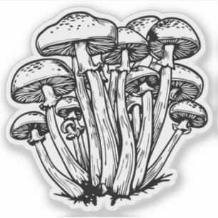 Adesivo Cogumelos