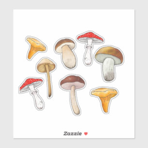Adesivo Cogumelos de cartografia