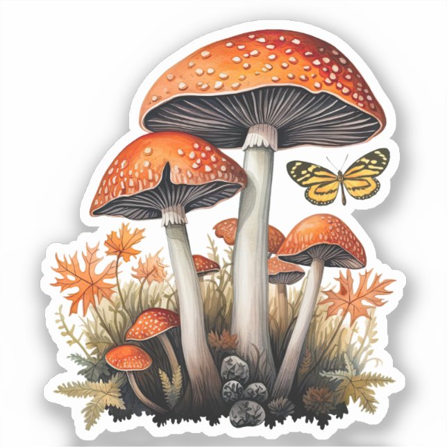 Adesivo Cogumelos de Outono da Floresta (Frente)