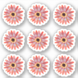 Adesivo Colorida Gerbera Daisy Floral Sticker