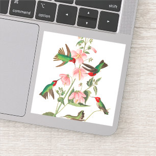 Adesivo Columbian Humming por John James Audubon