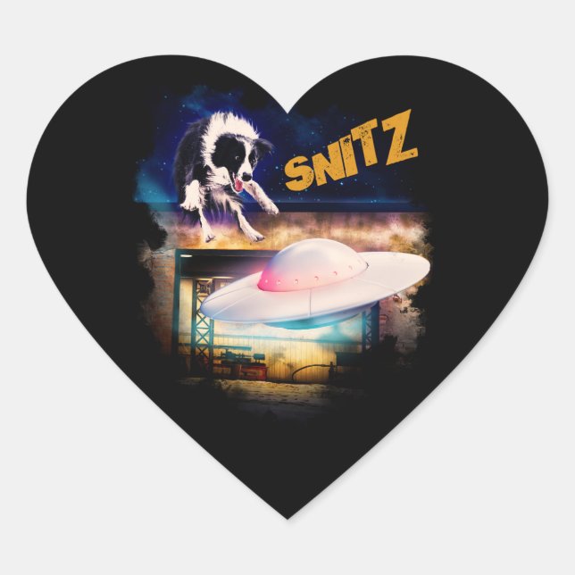 adesivo com nitz do Reparo de Saucer de Bob (Frente)