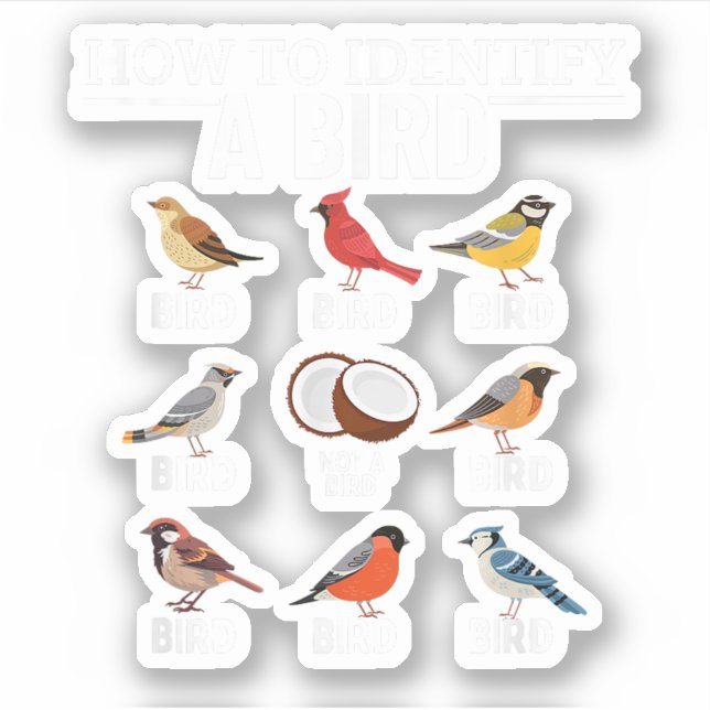Adesivo Como Identificar Um Pássaro Engraçado Observando (Frente)
