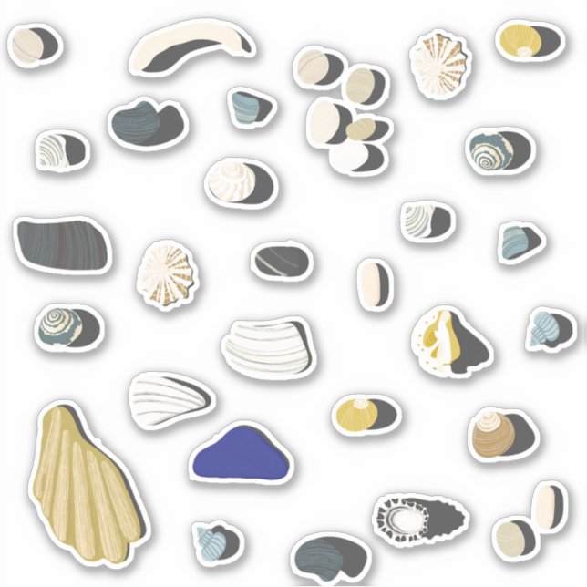 Adesivo Conchas e bolhas (Frente)