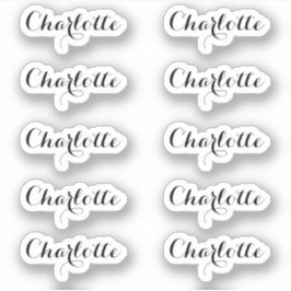 Adesivo Conjunto de 10 | Nome de Script Elegante Pequeno
