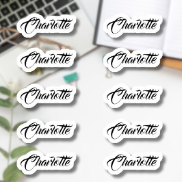 Adesivo Conjunto de 10 | Nome de Script Elegante Pequeno