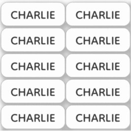 Adesivo Conjunto de 10 Rótulos Simples de Nome Pequeno Can