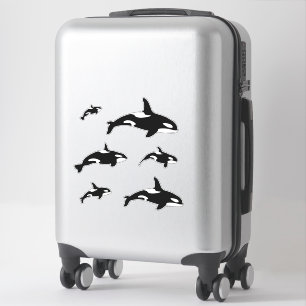 Adesivo Conjunto de 6 Criaturas do Mar do Orca Killer Whal