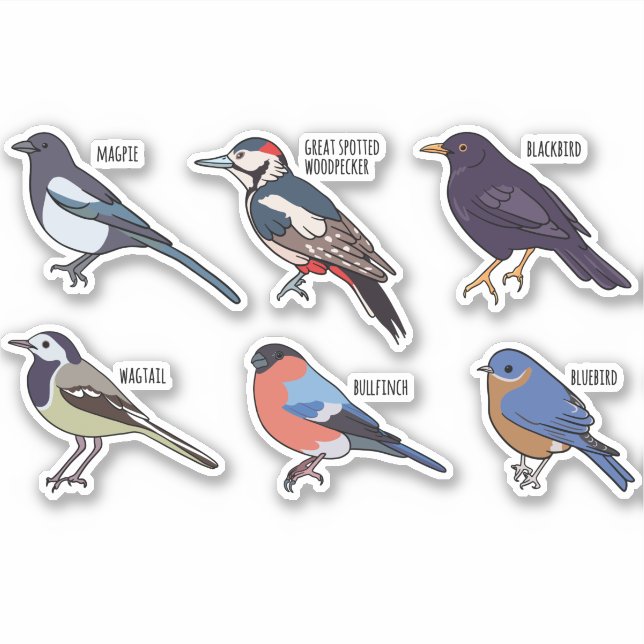 ADESIVO CONJUNTO DE ESPÉCIES DE AVES (Frente)