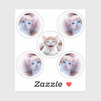 Adesivo Conjunto de Fotos de Forma de Cinco Círculos