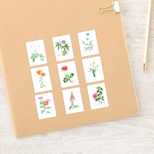 Adesivo Conjunto de Impressão de Ilustração Botânica Flora