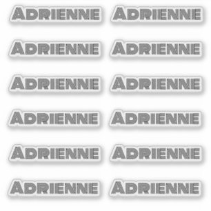 Adesivo Conjunto de Script de Assinatura Monolina de 12 No