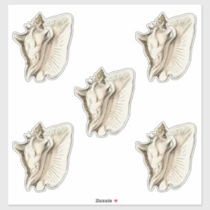 Adesivo conjunto de shell de vintage de 5