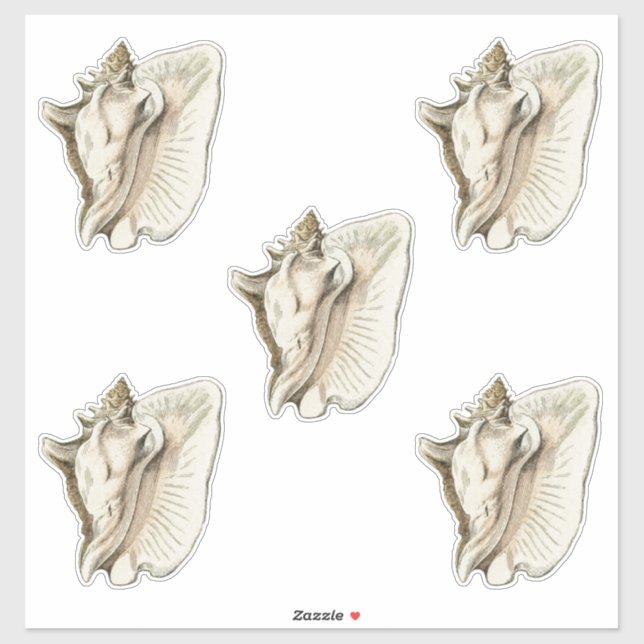 Adesivo conjunto de shell de vintage de 5 (Folha)