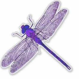 Adesivo Contorno de Dragonfly Roxo