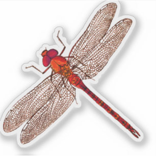 Adesivo Contorno de Dragonfly Vermelha