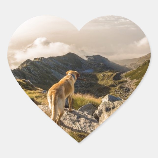 Adesivo Coração A jornada