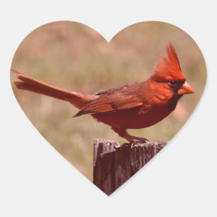 ADESIVO CORAÇÃO ADICIONAR FOTO