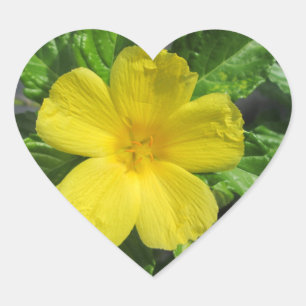 Adesivo Coração Adler amarelo bonito