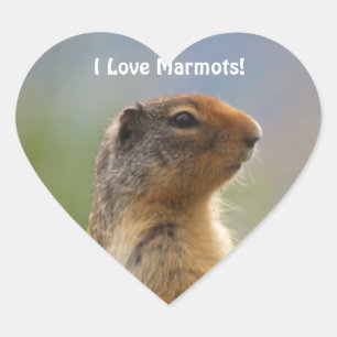 Adesivo Coração Adoro Marmots Wildlife Foto Heart Sticker