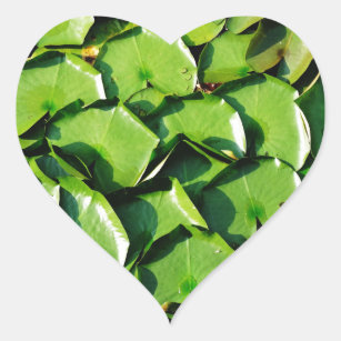 Adesivo Coração almofadas de lírios verdes sólidas