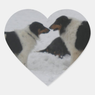 Adesivo Coração Amor do Collie