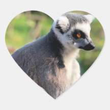 Amor Selvagem: Pela Austrália